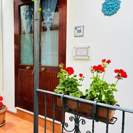 Appartement Paradise *